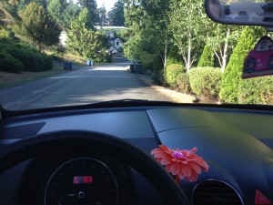 Taking the Beetle for one last spin early this morning before Gail picks it up!