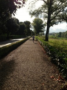First morning in Italy... running on the Arno River near our apartment