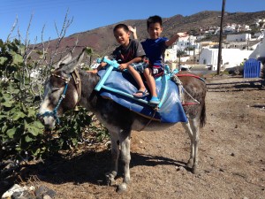 Manos is our friend and he let tuckie and me ride on a donkey