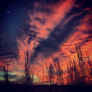 sunset on the highway