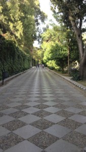 Seville paved its boulevards so beautifully they looked like they were tiled!