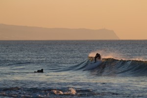 IMG_8976