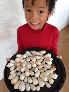 Here are just some of the shells :)