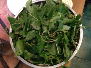 Mchicha (east african spinach) before it is cooked!